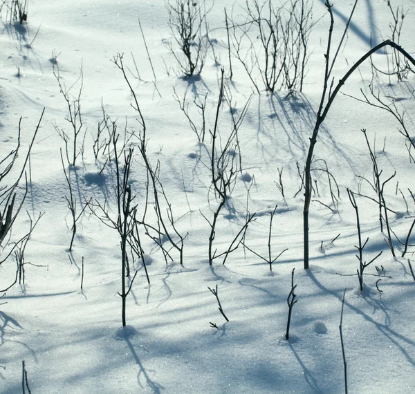 Terra innevata primo piano giornata invernale — Foto Stock