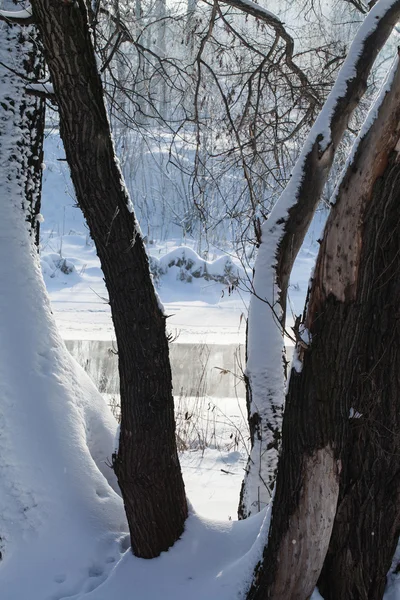 Inverno paisagem rural — Fotografia de Stock