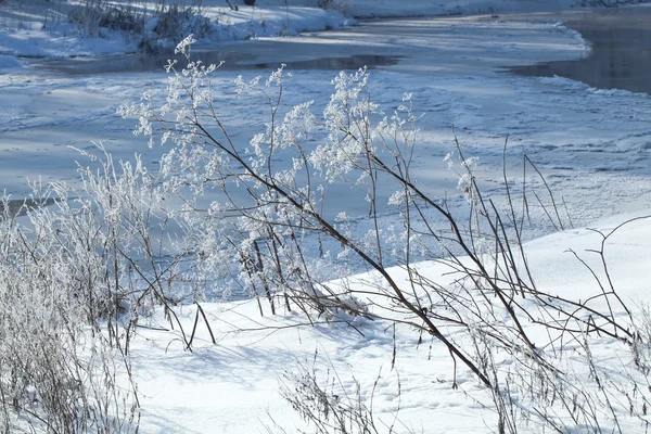 Зимовий Сільський пейзаж — стокове фото