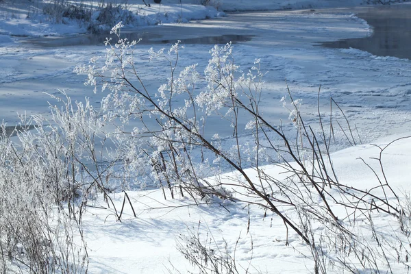 Paysage rural hivernal — Photo