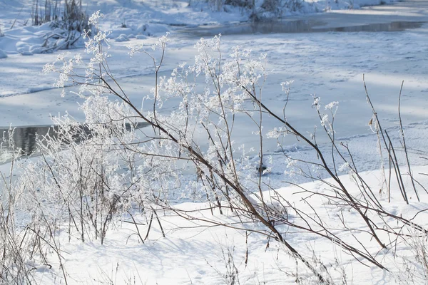 Winter rural landscape — Stock Photo, Image