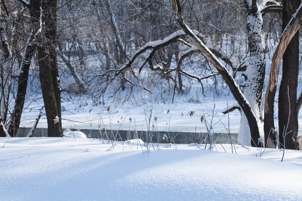 Winter rural landscape — Stock Photo, Image