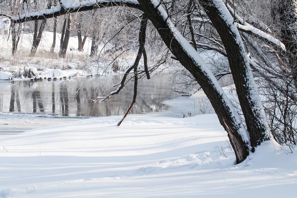 Invierno paisaje rural — Foto de Stock