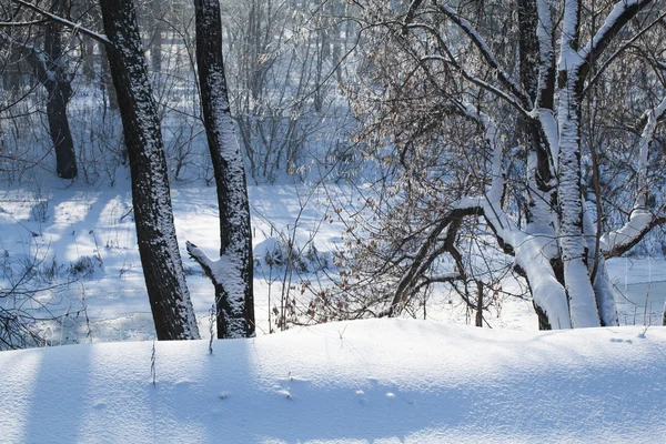 Invierno paisaje rural — Foto de Stock