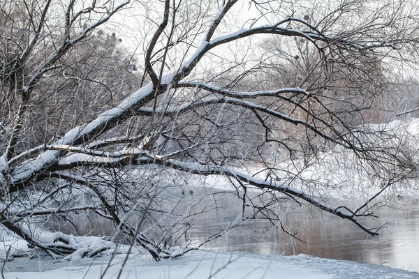 Winter rural landscape — Stock Photo, Image