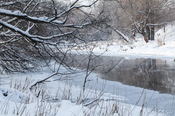 Kış kırsal arazisi 