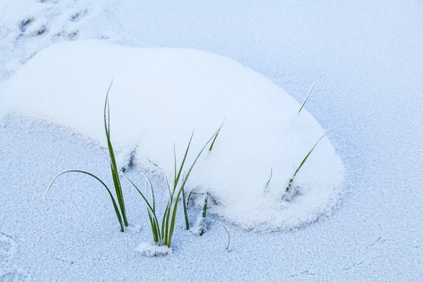 Consistenza congelata del fiume — Foto Stock