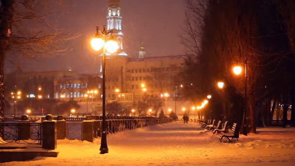 Winter evening in city park — Stock Video