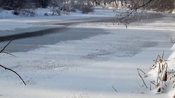 Χειμώνα αγροτικό τοπίο ποταμού κατεψυγμένα — Αρχείο Βίντεο