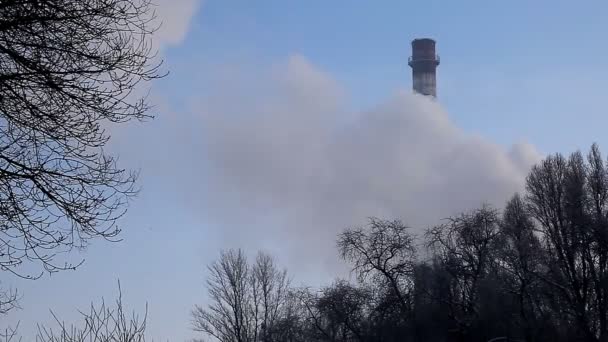 Промышленный дымоход — стоковое видео