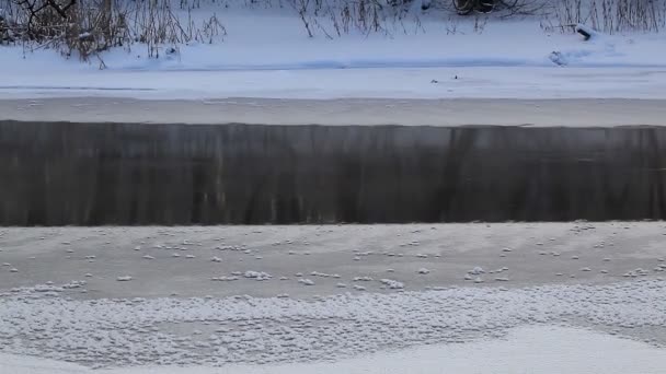 Зимовий пейзаж сільських заморожених річка — стокове відео