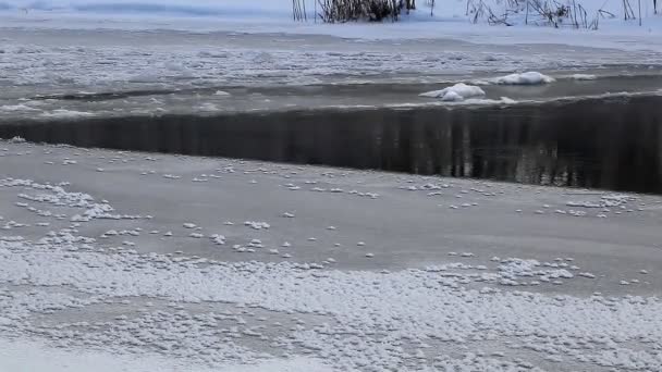 Зимовий пейзаж сільських заморожених річка — стокове відео