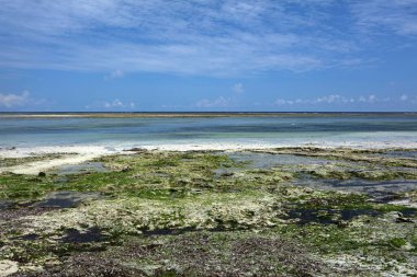 Kenya, Mombasa yakınlarındaki Diani sahilinde okyanus gelgiti