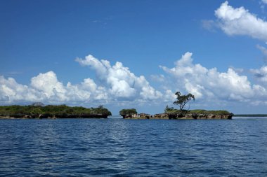 Kenya 'daki Kisite-Mpunguti Deniz Ulusal Parkı' ndaki adaların manzarası