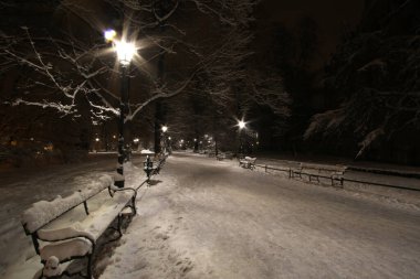 Kışın Bitki Parkı 'nın gece manzarası, Krakov, Polonya