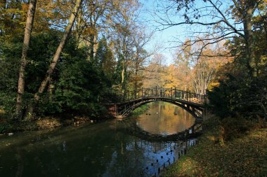 Pszczyna Kalesi ya da Pszczyna kasabasındaki Pszczyna Kalesi yakınlarındaki parkta sonbahar.