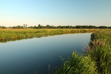 Biebrza Ulusal Parkı 'ndaki Peyzaj od Biebrza Nehri, Polonya