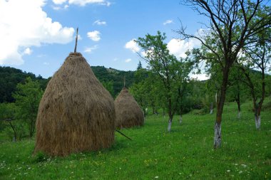Barsana, Maramures, Romanya 'daki kırsal alan