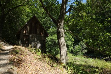 Romanya 'daki Domogled-Valea Cernei Ulusal Parkı manzarası