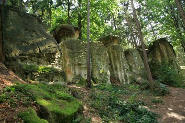 Glazy Krasnoludkow adlı kaya oluşumları - Gorzeszow köyünde, Sudetes, Polonya 'da Cüce Kayalar