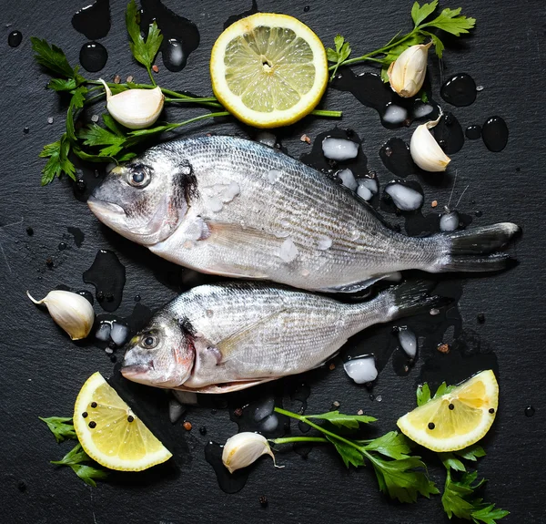 Orata de peixe fresco sobre pedra — Fotografia de Stock