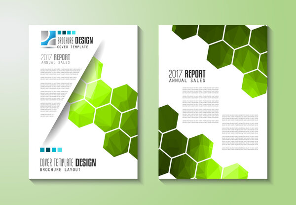 Brochure template, Flyer Design