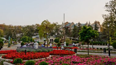 Pyatigorsk, Rusya - 15 Ekim 2020: Çiçek Bahçesi Park