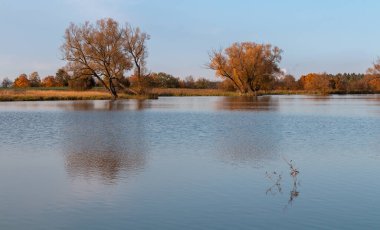 Panoramik sonbahar ağaçları göl kenarındaki yaprakların yansıması. Çek manzarası