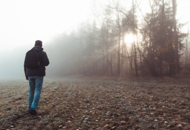 Genç adam sonbahar ormanıyla çayırda yürüyor dondurucu sisli bir sabah sisi ve güneşiyle. Çek manzarası