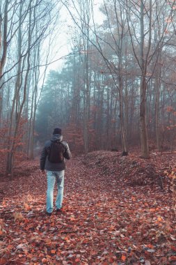 Sonbahar yaprakları üzerinde yürüyen genç adam dondurucu sisli bir sabah sisinde yolu terk eder. Çek manzarası