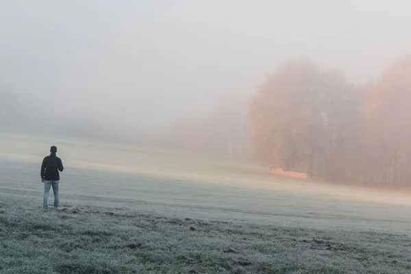 Молодий Чоловік Стоїть Лузі Осіннім Лісом Туманному Ранковому Тумані Чеський — стокове фото