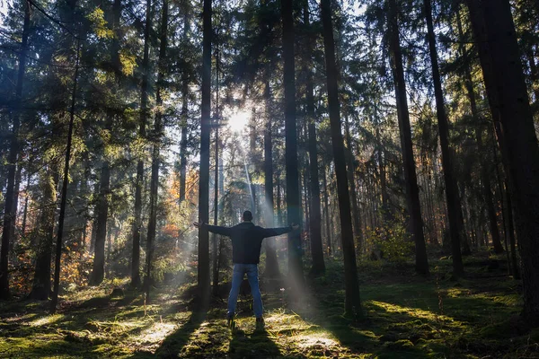 Молодий Чоловік Стоїть Руками Лісах Туманному Ранковому Тумані Освітленому Сонцем — стокове фото