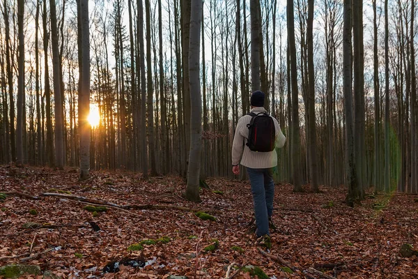 Молодий Чоловік Стоїть Осінньому Лісі Ззаду Від Заходу Сонця Чеський — стокове фото