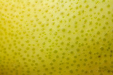 Dış kabukların makro fotoğrafı, kabuk. Boşluk meyve arkaplanı kopyala, sağlık diyeti yeme kavramı