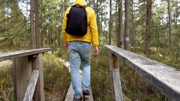 Imágenes Vista Trasera Mochilero Masculino Caminando Sobre Puente Madera Bosque — Vídeos de Stock