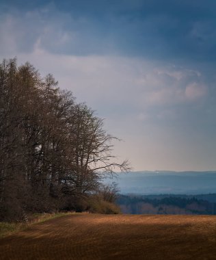 Çıplak ağaç ve dramatik gökyüzü olan tarım alanı. Çek erken bahar manzarası 