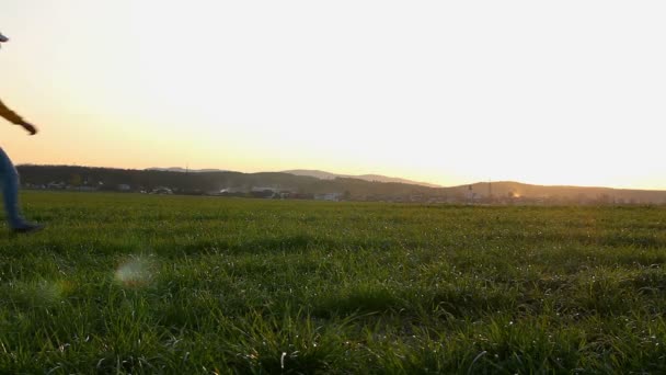 Uomo Piedi Sul Paesaggio Campo Verde Luce Del Tramonto Guardando — Video Stock