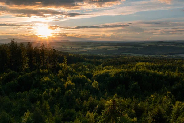 Літній Ліс Літній Ліс Чеська Долина Невеликим Злом Бесседніце Заході — стокове фото