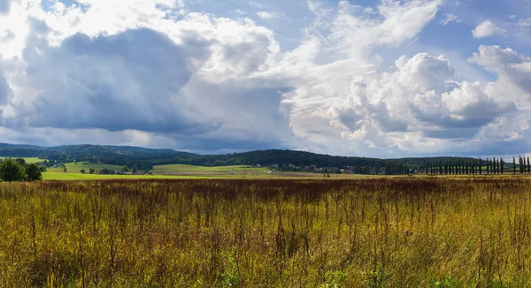 Erba Alta Secca Con Alberi Collina Lontana Estate Sud Repubblica — Foto Stock