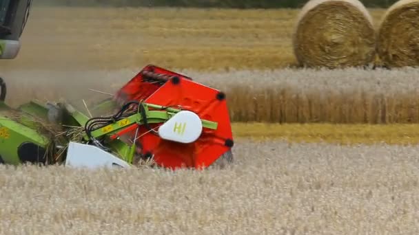 Комбін Збирання Врожаю Пшениці Сільськогосподарський Транспорт — стокове відео