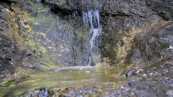 Attersee近くのオーストリアアルプス渓谷の大きな石の上の小さな滝 — ストック動画