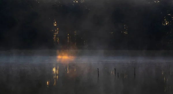 Détail Premier Rayon Soleil Briller Travers Forêt Étang Avec Brume — Photo