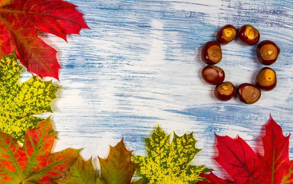 Bunte Herbstliche Ahornblätter Mit Kastanien Zum Kreisen Auf Weißem Und — Stockfoto