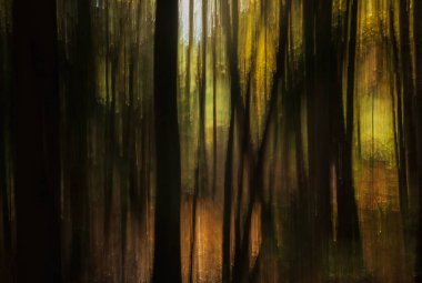 Soyut sonbahar orman sahnesi bulanıklaştı. Modern manzara ICM arkaplanı