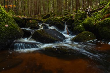 Aziz Wolfgang Şelalesi. Çek topraklarında, ormanda taşların arasından akan küçük bir dere.