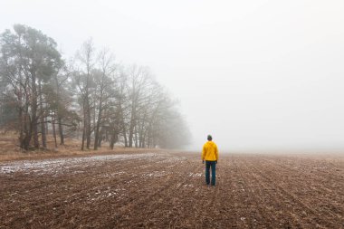 Sarı ceketli adam Çek topraklarında sisli bir şekilde tarımda yürüyor. Arka görünüm