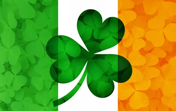 Bandeira da Irlanda com Shamrock deixa ilustração de fundo — Fotografia de Stock