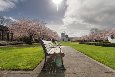 Oregon State Capitol Building kiraz çiçeği ağaçları ile