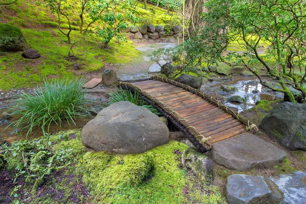 Ponte de pé de bambu sobre riacho — Fotografia de Stock