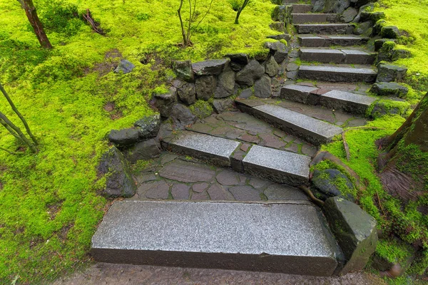 Passos de pedra de granito ao longo de musgo verde — Fotografia de Stock